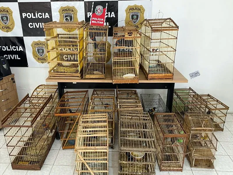 Homem é preso por maus-tratos a cães e criação ilegal de aves silvestres em Pombal