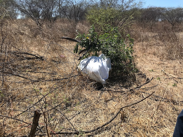 Jovem é encontrado morto na zona rural de Cajazeiras