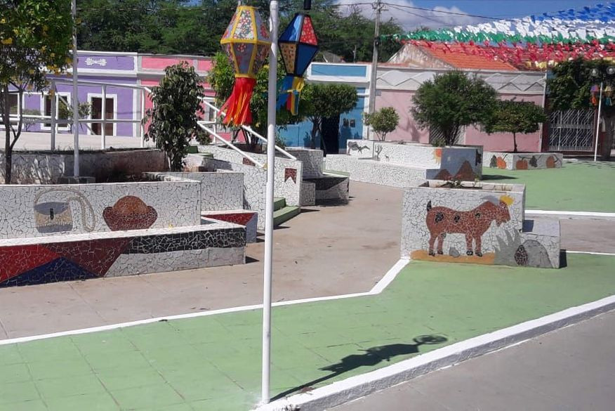 Delegado solicita imagens de câmeras para auxiliar nas investigações do envenenamento de cães e gatos em Cabaceiras