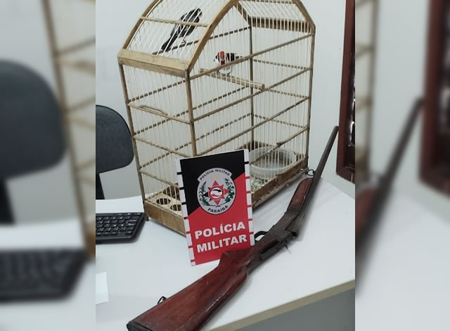 Polícia Militar apreende arma de fogo e aves silvestres na cidade de Sousa