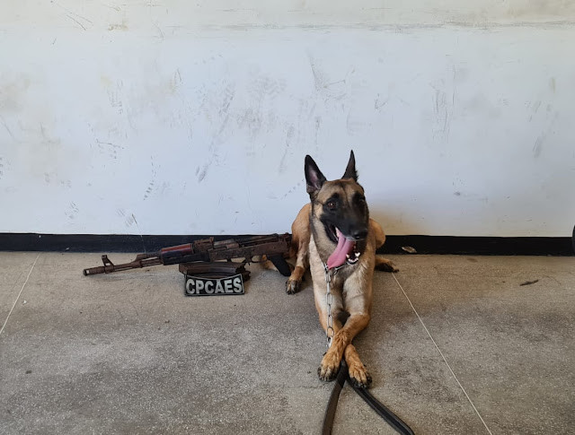 Com informações do NI cadela Shasa do CPCÃES encontra fuzil escondido em carro apreendido pela PRF em Cajazeiras