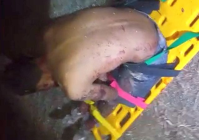 Homem morre após ser alvejado com tiro no município de Bom Sucesso