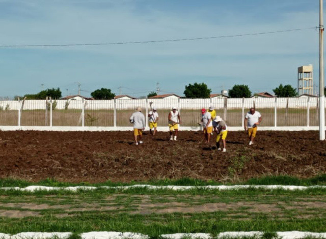 Apenados da Colônia Penal trabalham no corte de terra e no plantio de feijão em Sousa
