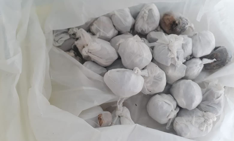 Polícia Militar aprende droga após acompanhamento tático a dupla em motocicleta na cidade de Pombal