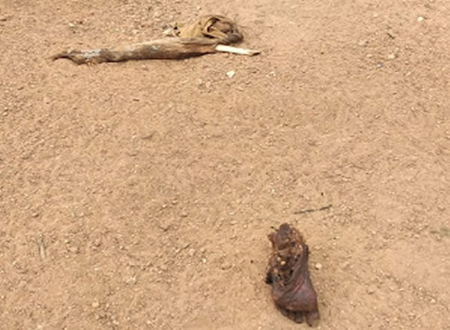 Cadáver é encontrado enterrado as proximidades de açude no município de Cajazeiras 