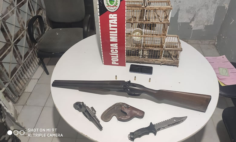 Polícia Militar apreende armas de fogo e ave silvestre em residência na cidade de Sousa