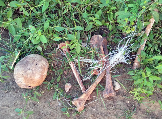 Parte de ossada humana é encontrada em estrada vicinal na zona rural de Cajazeiras