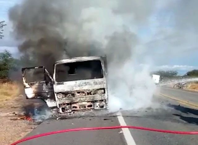 VÍDEO: Caminhão que transportava madeira incendeia próximo ao município de Aparecida