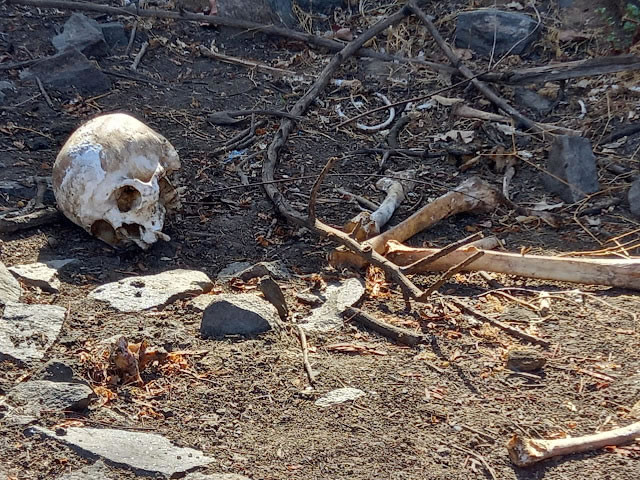 Ossada humana é encontrada próximo a pedreira desativada na zona rural de Cajazeiras