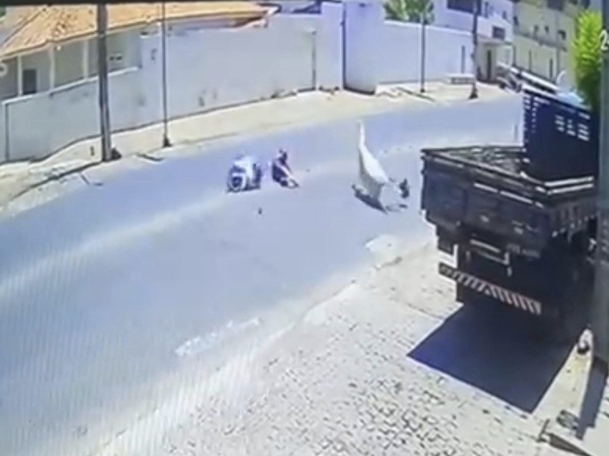 Popular fica ferido após ser colidido por cavalo na cidade de Sousa