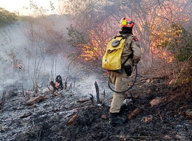 Força-tarefa tenta controlar incêndio no entorno do Parque Estadual Serra da Santa Catarina entre os municípios de Aguiar, Carrapateira, Nazarezinho e São José da Lagoa Tapada