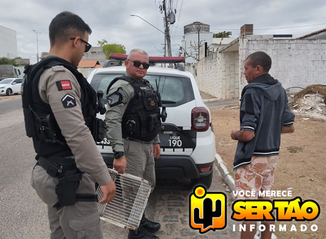 Polícia Militar prende popular por maus tratos a animal na cidade de Sousa