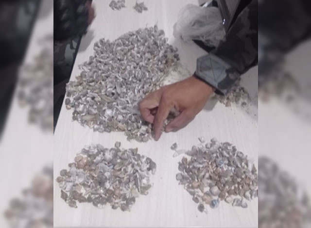 Polícia Militar prende dupla e apreende mais de mil papelotes de maconha, em Uiraúna