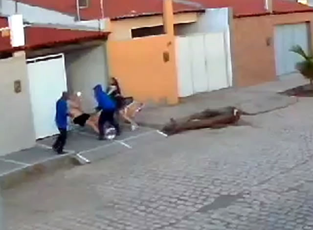 Dupla pratica roubo no bairro dos Remédios, na cidade de Cajazeiras