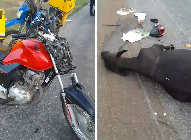 Motociclista fica ferido após colidir em animal no município de Sousa