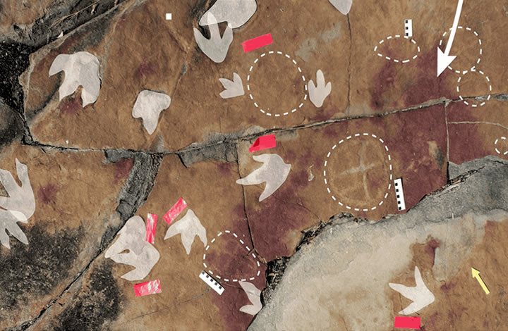 Em Sousa, cientistas encontram conjunto único de pegadas de dinossauros e pinturas rupestres