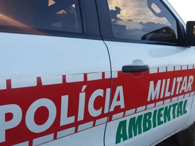 Operação ambiental resgata 18 aves silvestres e autua criador em Catolé do Rocha
